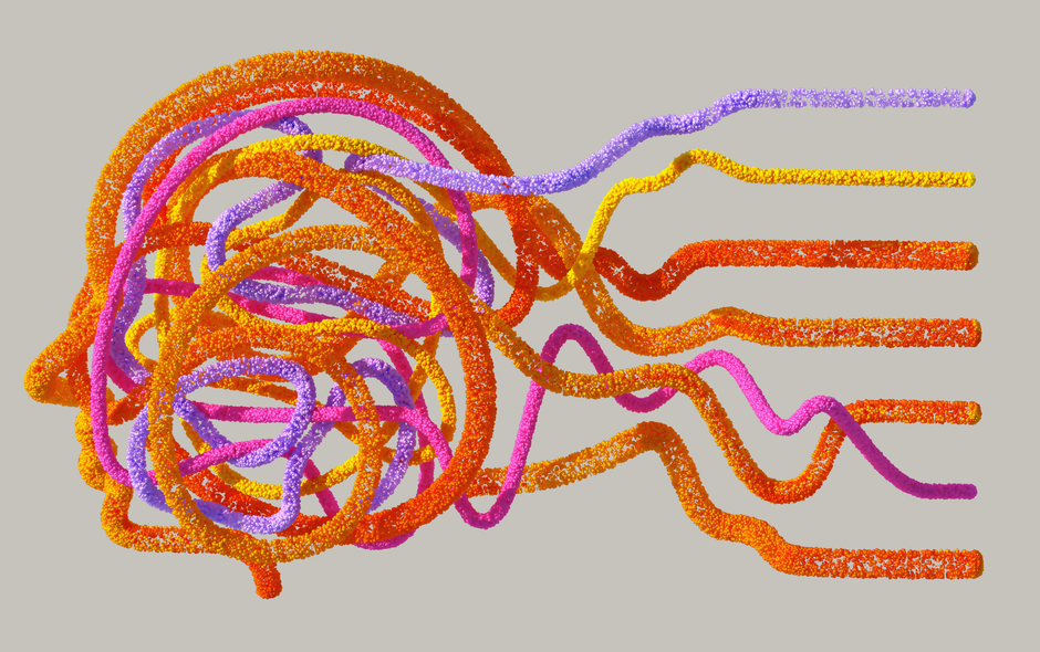 'brain science' — 'Tiny but Mighty: Zebrafish Leads Brain Research Breakthrough' (photo)