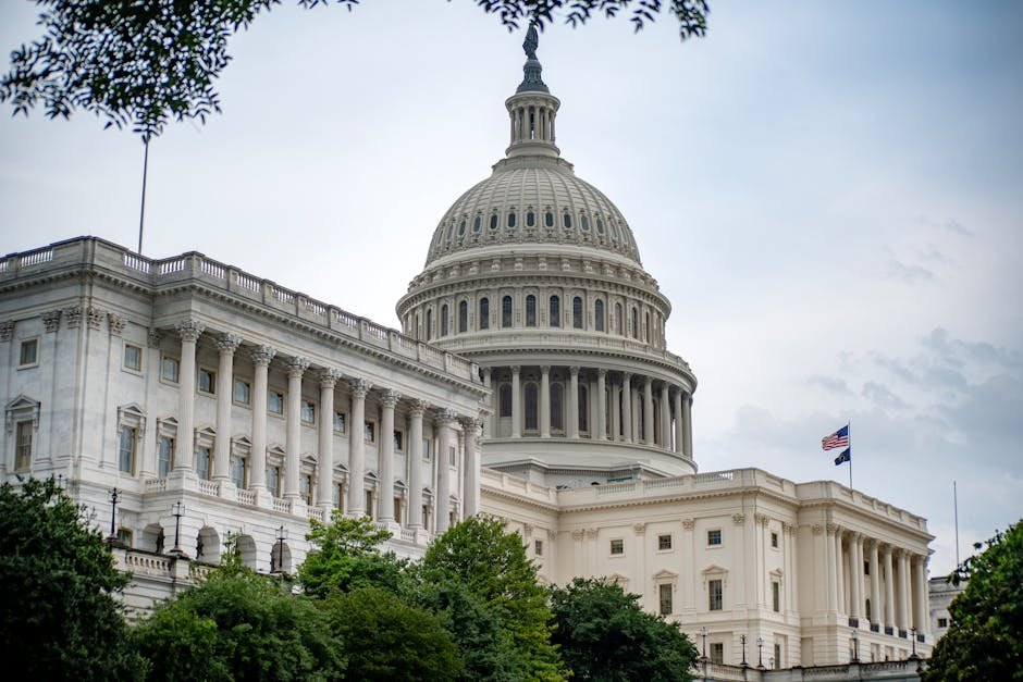 White House — Trump's UFC Arena: White House or Fight Night? (inline 3)