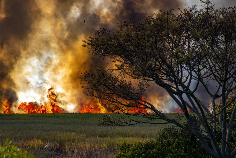 heatwave — UK Sizzles on to New Record: 37.3C Temperature Leaves Nation Scorching (inline 3)