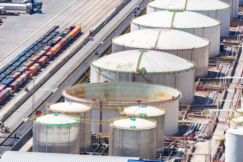 Venezuela's oil — Venezuela's Oil: Can India Embrace a Controversial Energy Gamble? (inline 3)