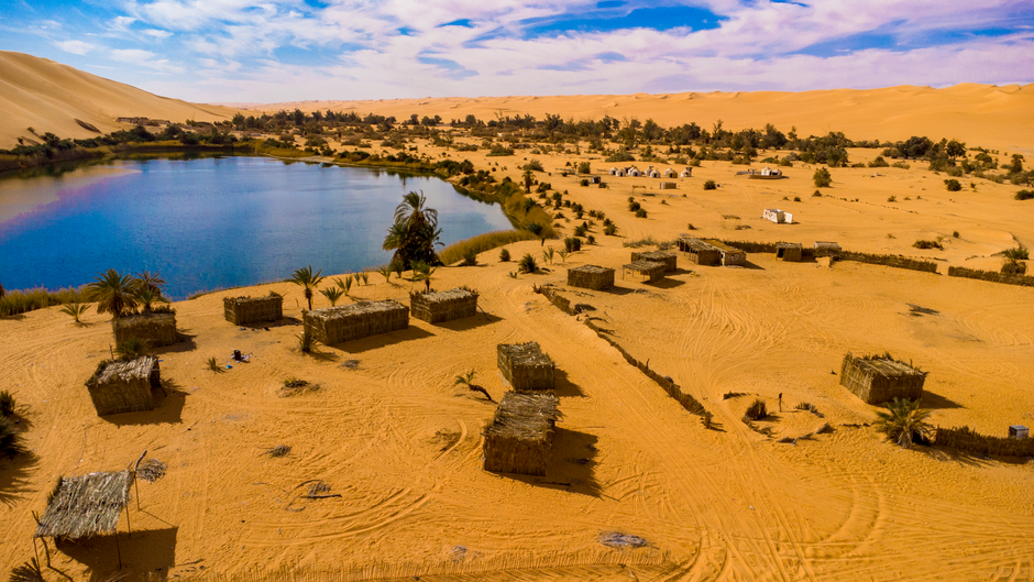 Libya sand cat — 'Lost' Libya Sand Cat Found in Shocking YouTube Footage (photo)