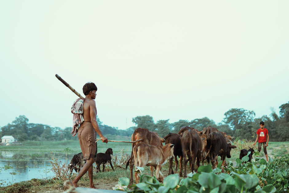 celebrity — Buffalo Named 