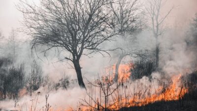 climate change — Southern Europe's Burning Reality (featured)