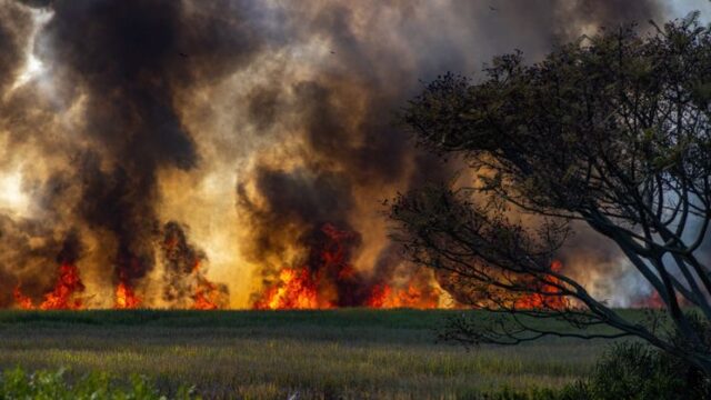 Climate Change — The Climate Screams at Us in Smoke and Ash (featured)