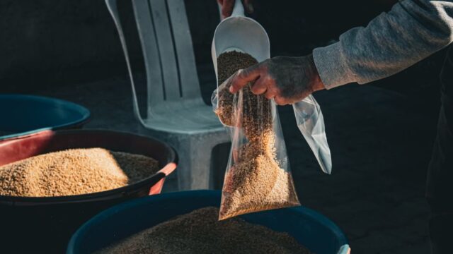 Egypt food security — Egypt's fragile food security: A momentary reprieve or another false p (featured)