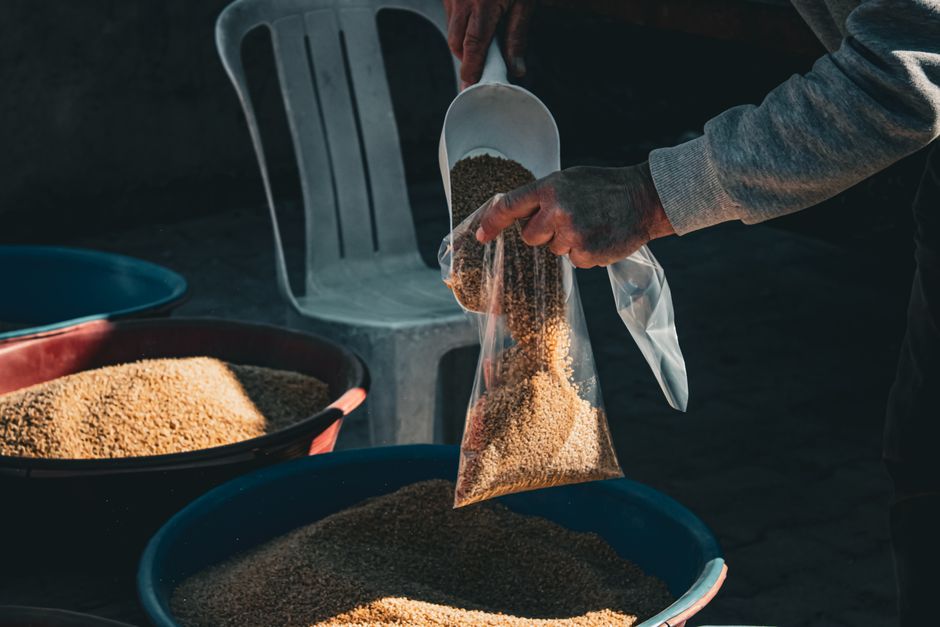 Egypt food security — Egypt's fragile food security: A momentary reprieve or another false p (featured)