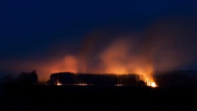 UK wildfires — The UK's Blazing Reckoning (featured)
