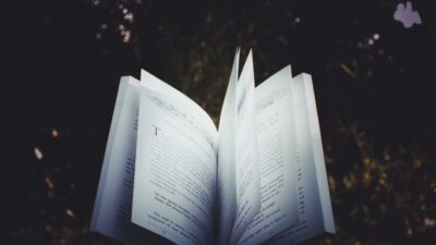 Intellectual Curiosity — The Allure of the Curated List: Are We Merely Outsourcing Our Intellec (featured)
