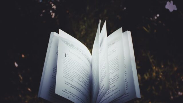 Intellectual Curiosity — The Allure of the Curated List: Are We Merely Outsourcing Our Intellec (featured)