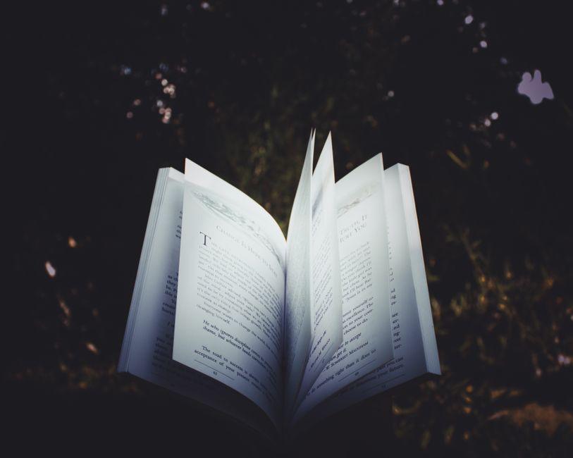 Intellectual Curiosity — The Allure of the Curated List: Are We Merely Outsourcing Our Intellec (featured)