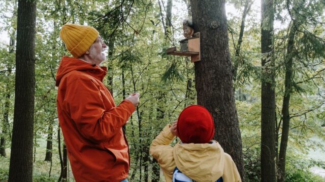 human impact — Human noise disrupts wildlife habitats, a silent threat to ecosystems. (featured)