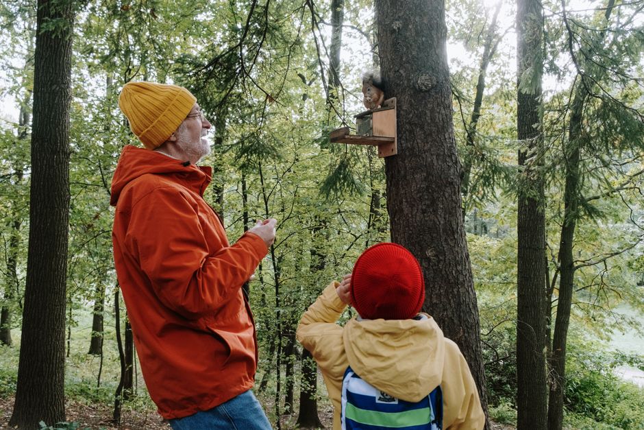 human impact — Human noise disrupts wildlife habitats, a silent threat to ecosystems. (featured)