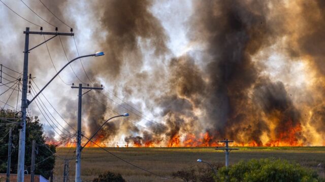 Climate Change — Where Wildfire Smoke Becomes a Political Weapon (featured)