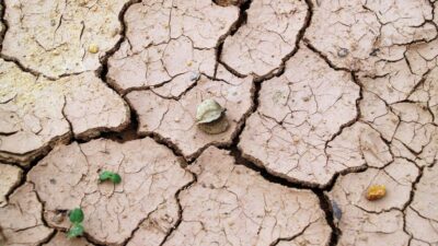 climate change — Reclaimed by the parched earth: the ghostly return of The Great Parter (featured)