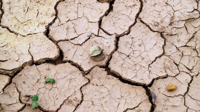 climate change — Reclaimed by the parched earth: the ghostly return of The Great Parter (featured)