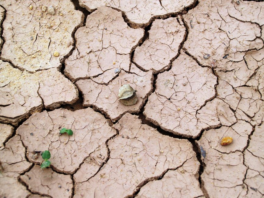 climate change — Reclaimed by the parched earth: the ghostly return of The Great Parter (featured)