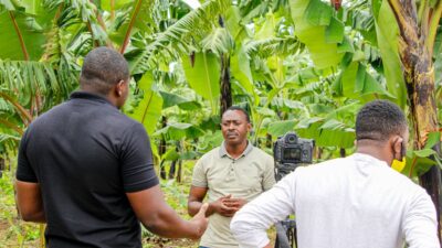 Emmanuel Mwamba — Emmanuel Mwamba. . In an exclusive interview with Al Jazeera, Senegale (featured)