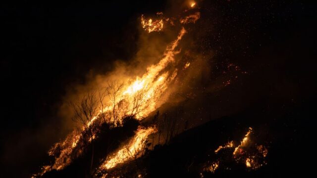 climate crisis — Japan's Cruelly Hot Day: A Grim New Reality for the Climate Crisis (featured)