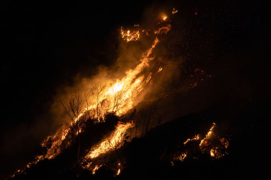 climate crisis — Japan's Cruelly Hot Day: A Grim New Reality for the Climate Crisis (featured)
