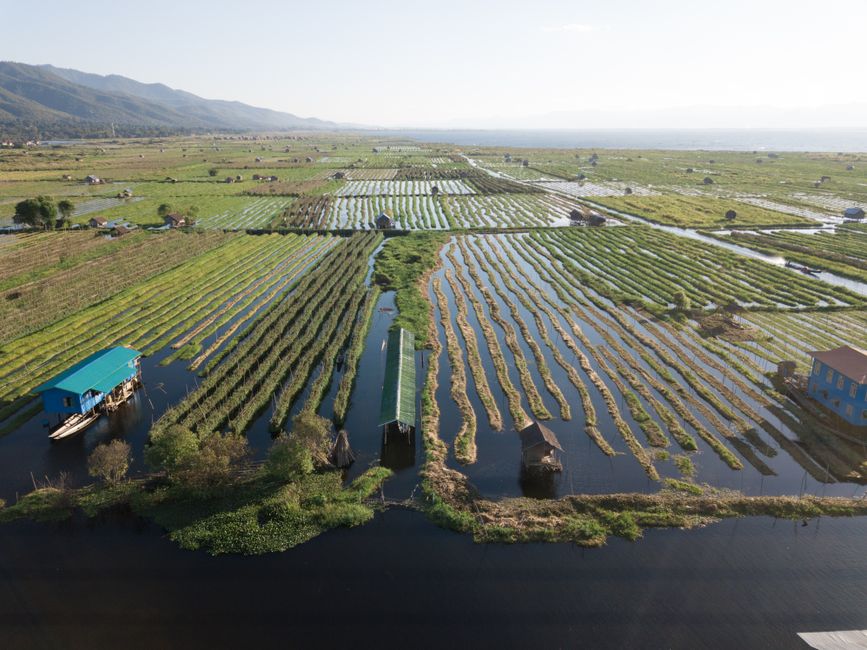wetlands — Wetland conversion to farmland in Bure and Womberma Woredas, Northwest (featured)