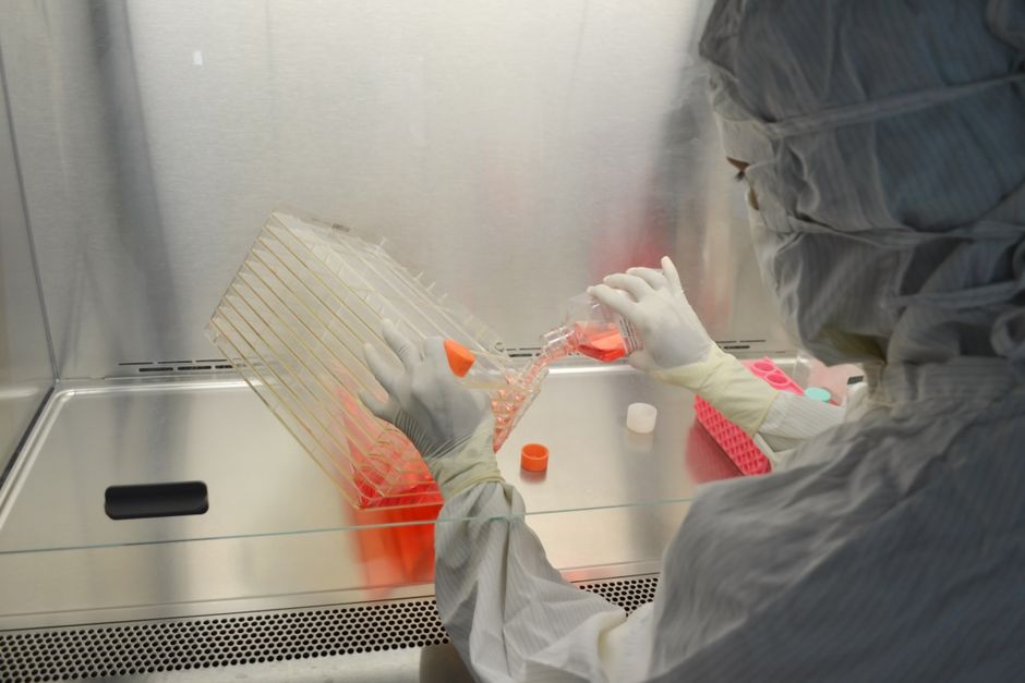 Transparency — Gene Therapy Death, FDA Blunders, and a Chilling Effect on Transparenc (featured)