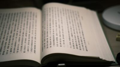 Fictional character biography — The Fictional Lives of Others: Can Literary Characters Be Real? (featured)
