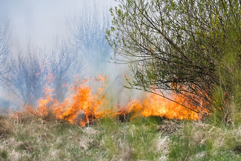 climate change — Southern Europe's Burning Reality (photo)
