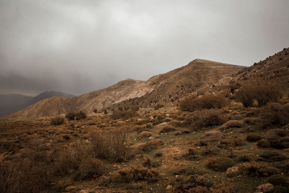 Iran — Power vacuum threatens Iran's future – and geopolitics at large (inline 1)