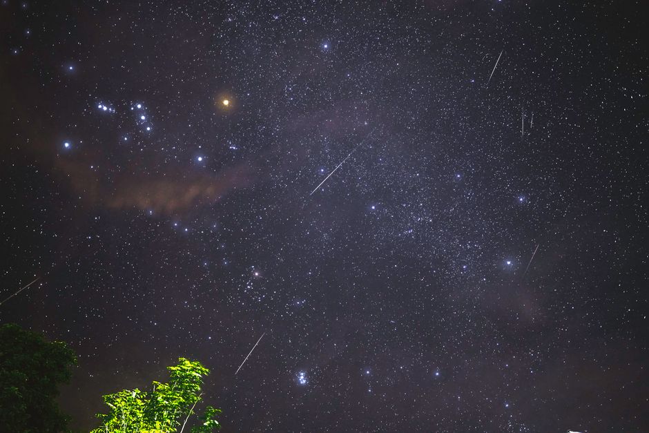 technology — **Meteorite discovery rocks our understanding of life's origins** (inline 1)