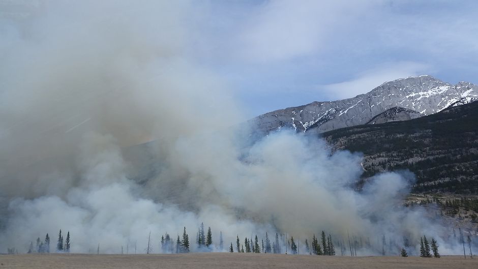 Climate Change — Where Wildfire Smoke Becomes a Political Weapon (photo)