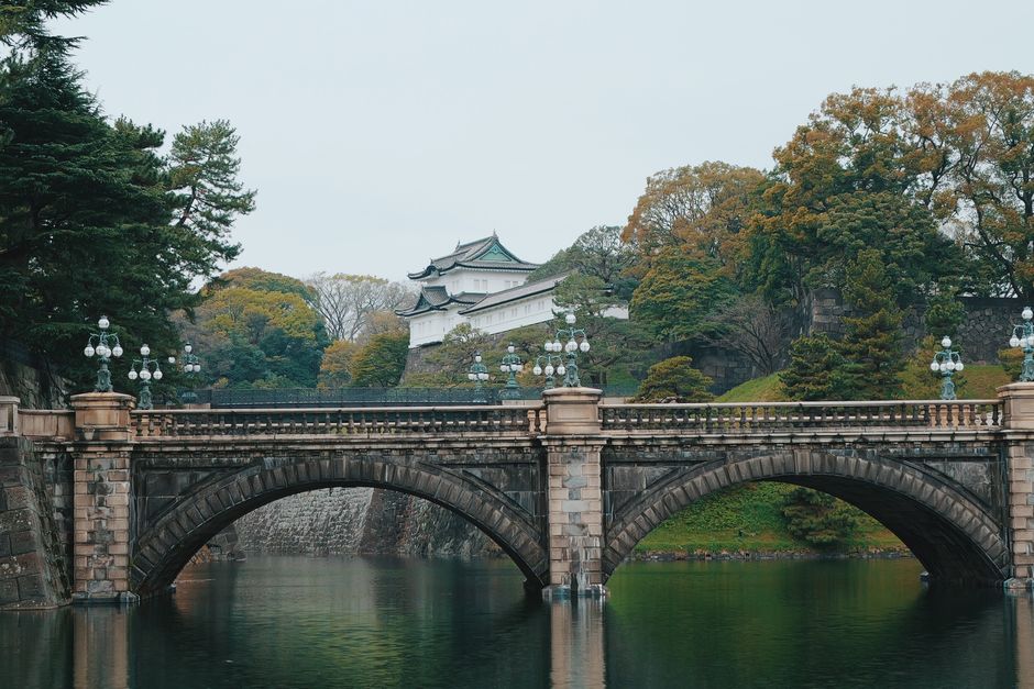 Japan — Japan relaxes royal succession rules - but ban on female emperors rema (inline 1)