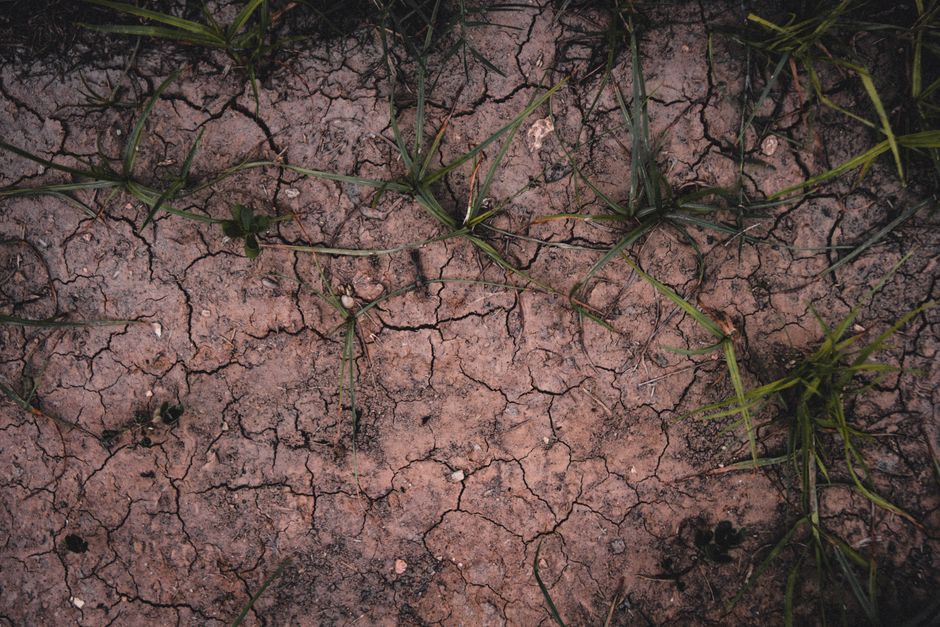 climate change — Reclaimed by the parched earth: the ghostly return of The Great Parter (photo)