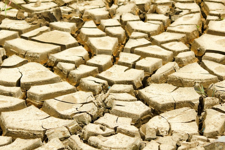 climate crisis — Japan's Cruelly Hot Day: A Grim New Reality for the Climate Crisis (photo)