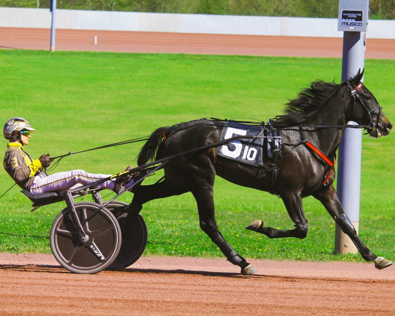 Claude Opus — Claude Opus 5 became downright ruthless when tasked with running a ven (photo)