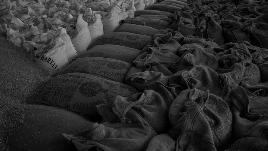 Egypt food security — Egypt's fragile food security: A momentary reprieve or another false p (photo)