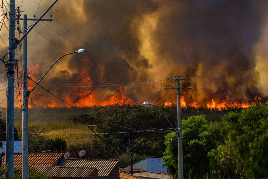 UK wildfires — The UK's Blazing Reckoning (photo)