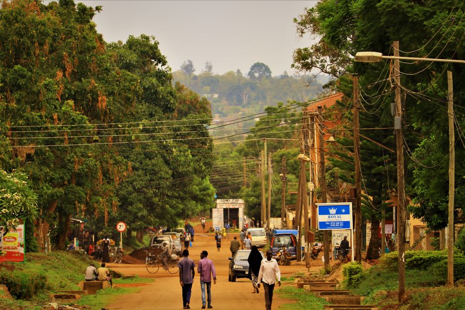 Africa — Africa's Double Health Crisis: Marburg Emerges Amid Ongoing Ebola Outb (inline 2)
