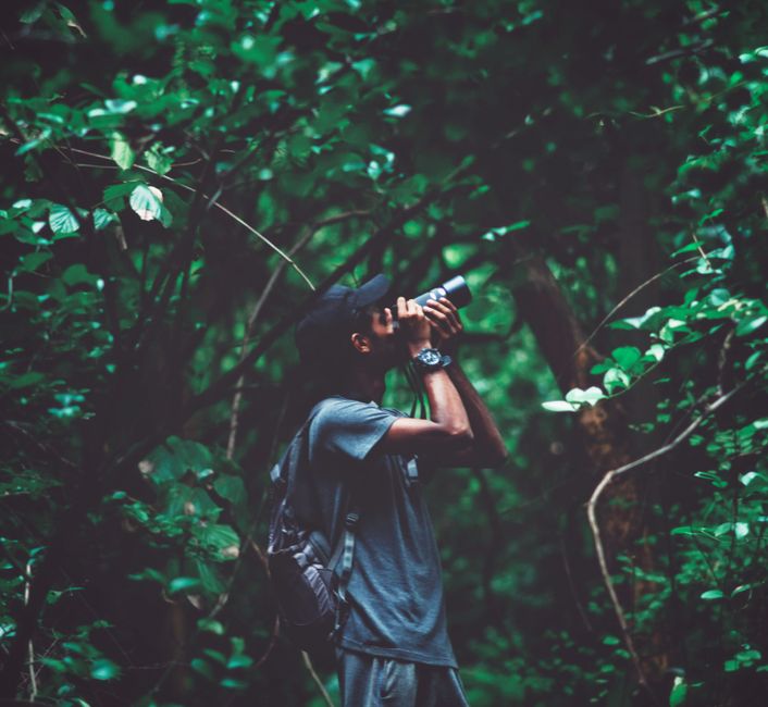 human impact — Human noise disrupts wildlife habitats, a silent threat to ecosystems. (photo)