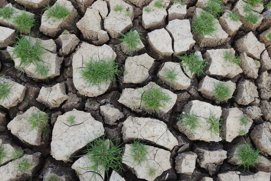climate change — Reclaimed by the parched earth: the ghostly return of The Great Parter (photo)