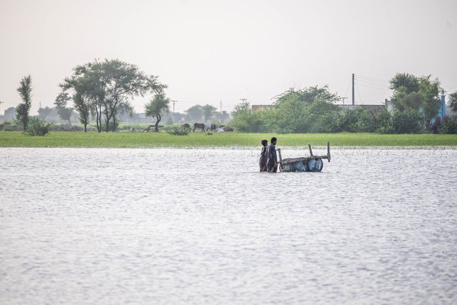 climate crisis — Pakistan's Unrelenting Monsoon Nightmare (photo)
