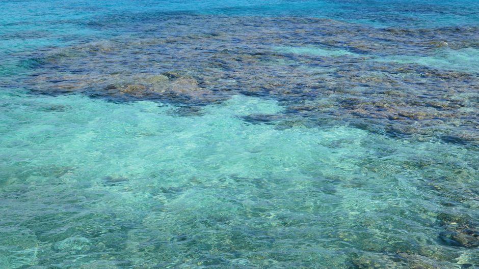 ocean alkalinity enhancement — Gulf of Maine Experiment Aims to Reverse Ocean's Rising Acidity (photo)