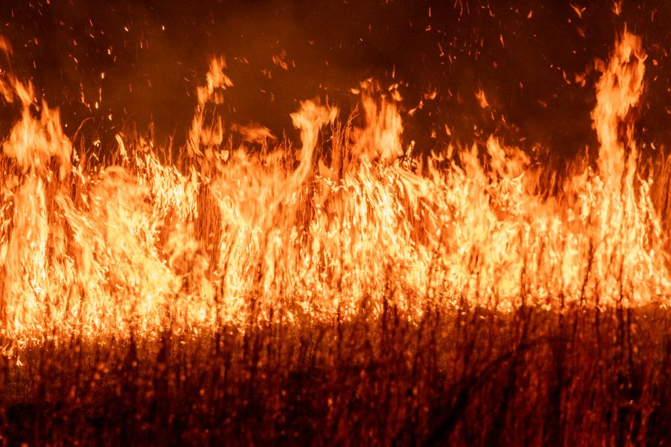 climate crisis — Japan's Cruelly Hot Day: A Grim New Reality for the Climate Crisis (photo)