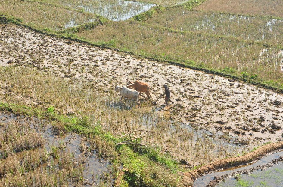wetlands — Wetland conversion to farmland in Bure and Womberma Woredas, Northwest (inline 2)
