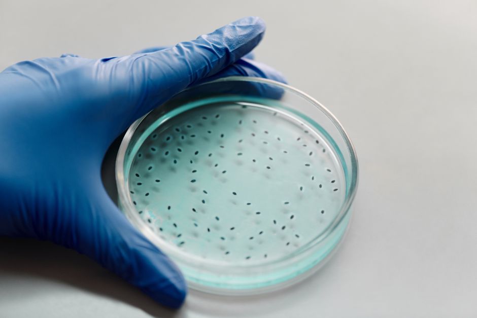 Transparency — Gene Therapy Death, FDA Blunders, and a Chilling Effect on Transparenc (inline 2)