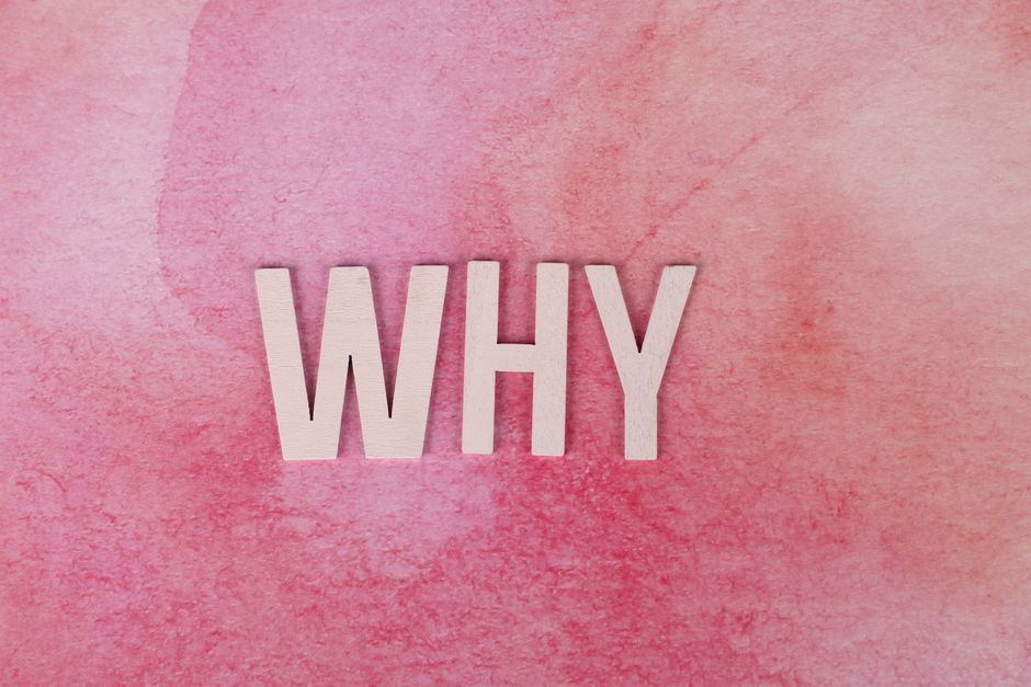Why Does — Why Does Media Ignore Susan Collins’ Scandals? (photo)