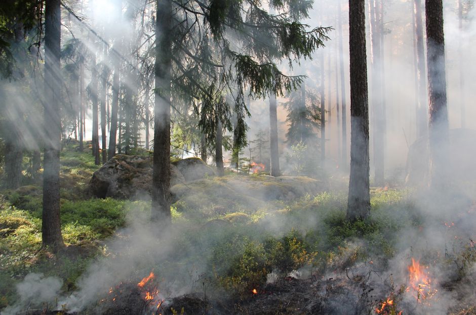 climate change — Southern Europe's Burning Reality (photo)