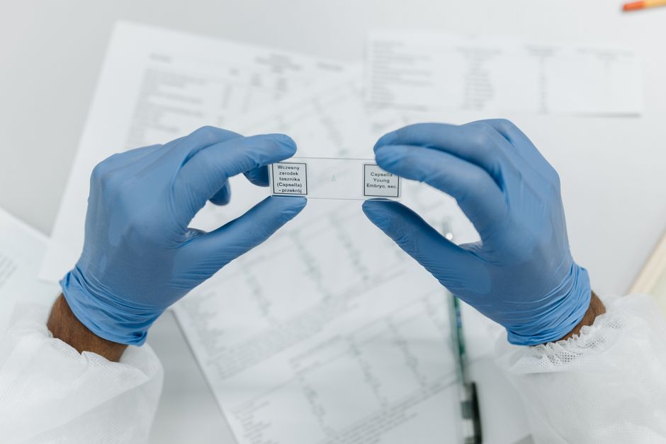 Britain medical innovation — Beyond the Breakthrough: The Unseen Costs of Medical Pioneering (photo)