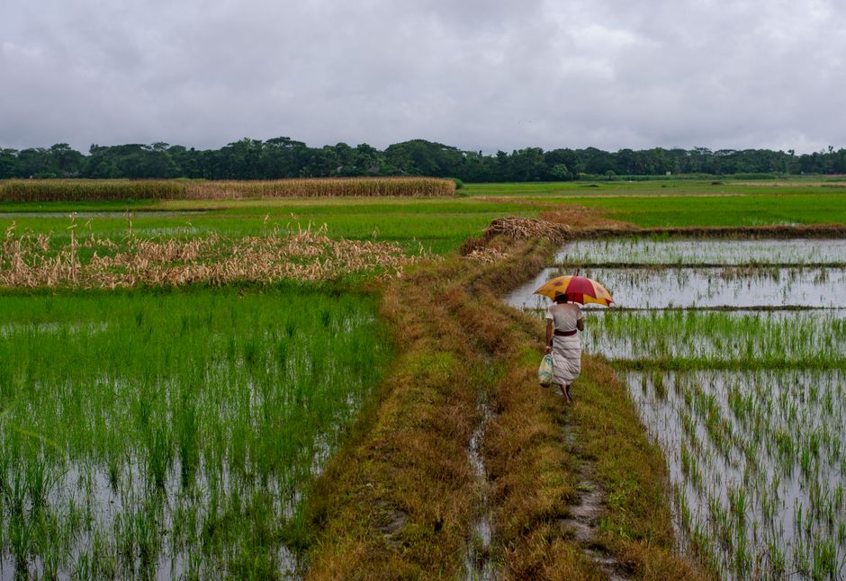 Bangladesh. — Bangladesh's climate catastrophe: A world too slow to act. (photo)