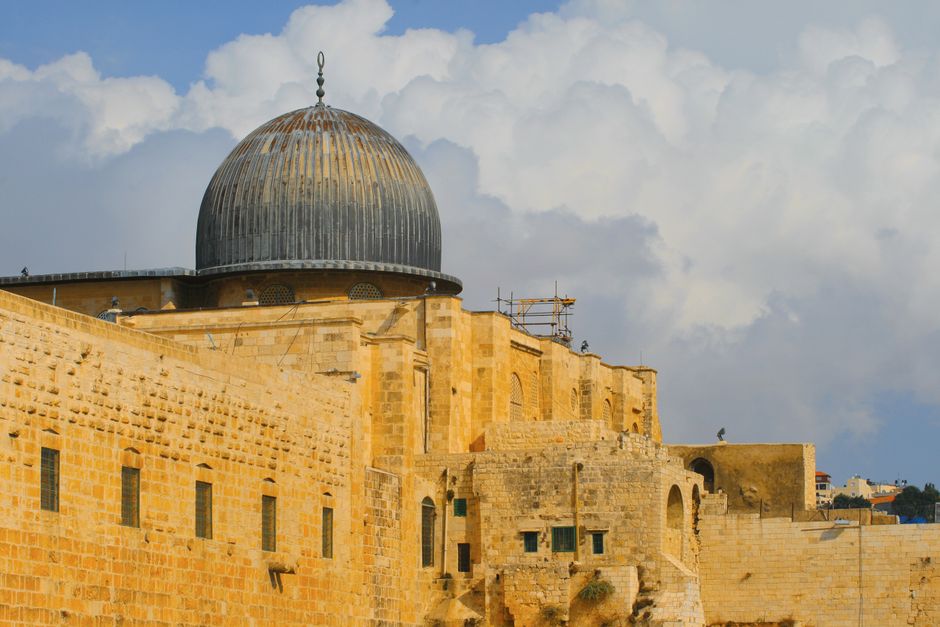 Israeli Occupation — US Congressman's Detention Highlights Brutal Realities of Israeli Occu (photo)
