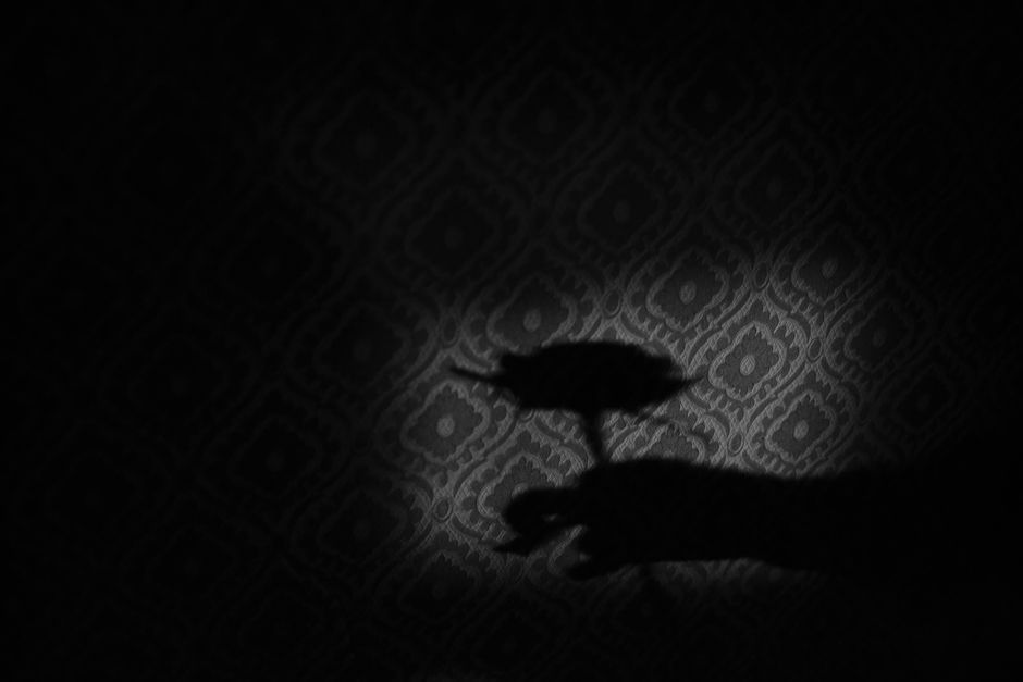 Counterfeit reality — Reality's Shadow Government (photo)